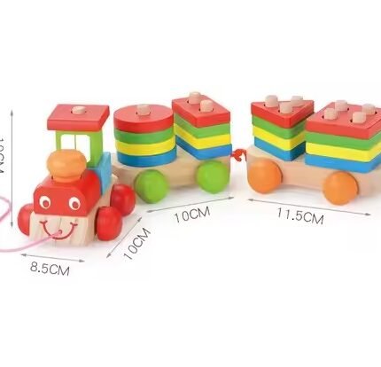Tri-Shape Wooden Sorting and Stacking Blocks