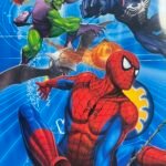 Spider Hero Coloring Book with Stickers