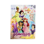 Disney Princess Coloring Book for Kids